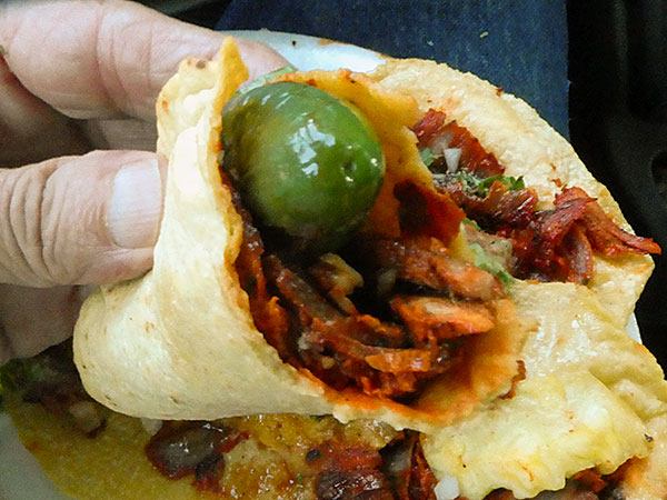 taco watt chowed from 'tuquilita' taco stand near 'the sardine' on sep 17, 2026