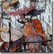 elka bong 'bong watt collab #2' cover artwork elka bong 'bong watt collab #2' cover artwork