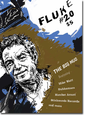 'fluke' zine issue 20 cover 'fluke' zine issue 20 cover