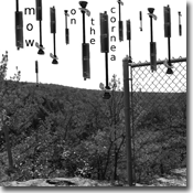 mow 'on the cornea' front cover art