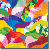 media kittens'/'when the hoarding has ended' record cover 'media kittens'/'when the hoarding has ended' record cover