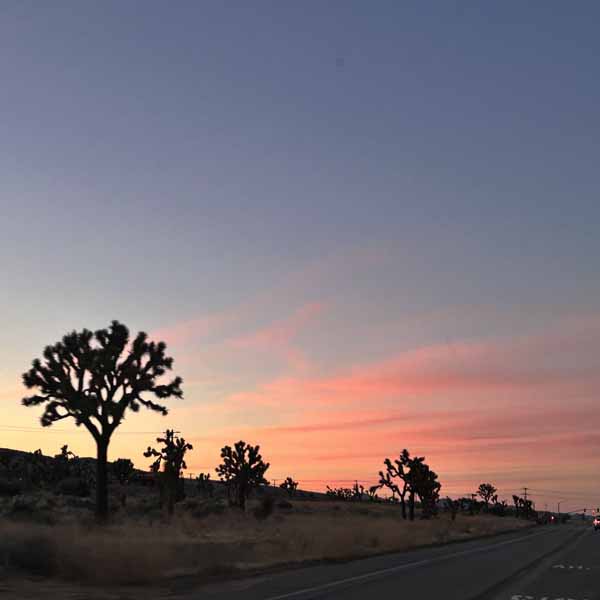 photo by mike baggetta