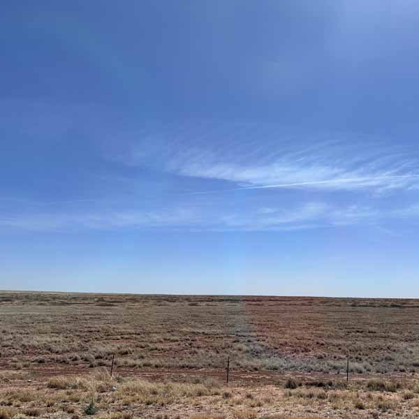 photo by mike baggetta