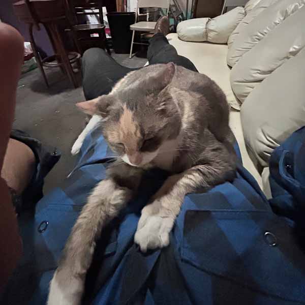 photo by mike baggetta