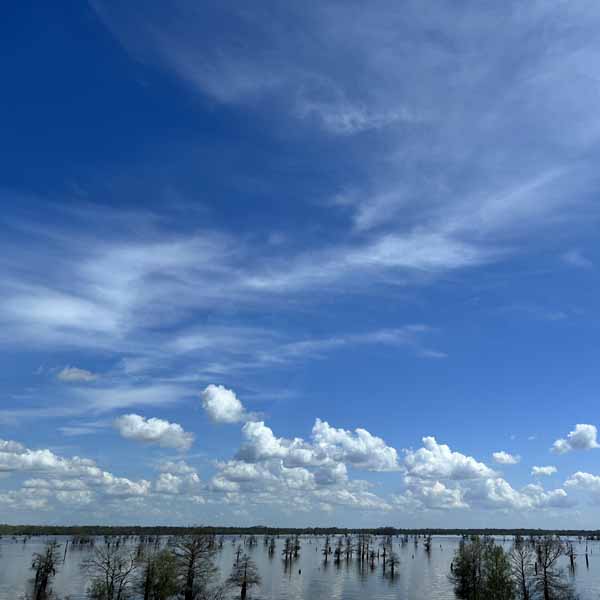 photo by mike baggetta