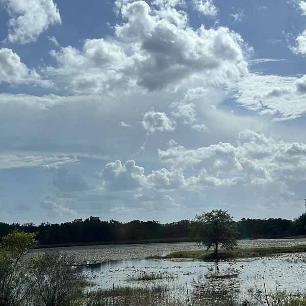 photo by mike baggetta