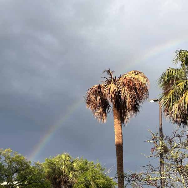 photo by mike baggetta