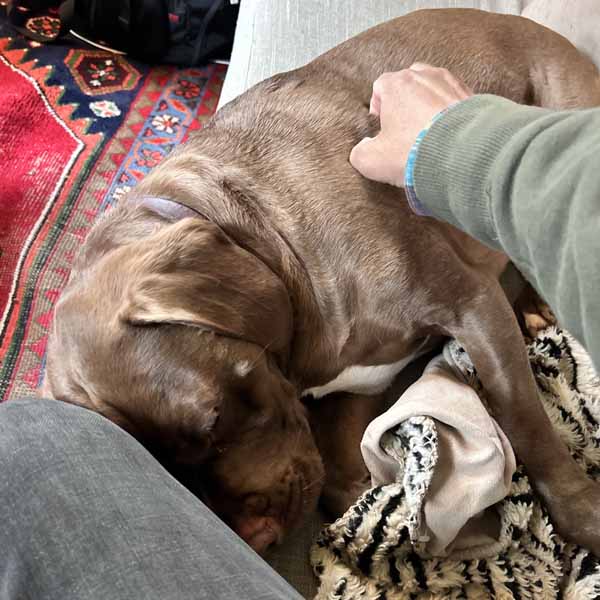 photo by mike baggetta