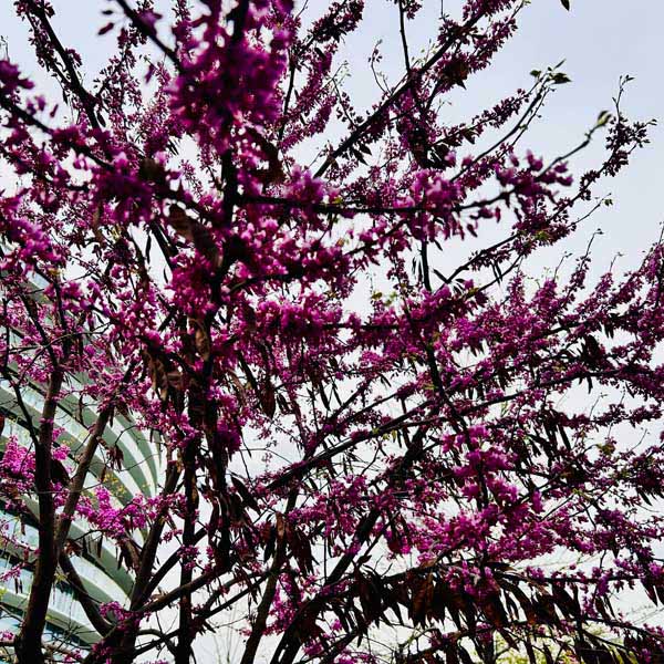 photo by mike baggetta