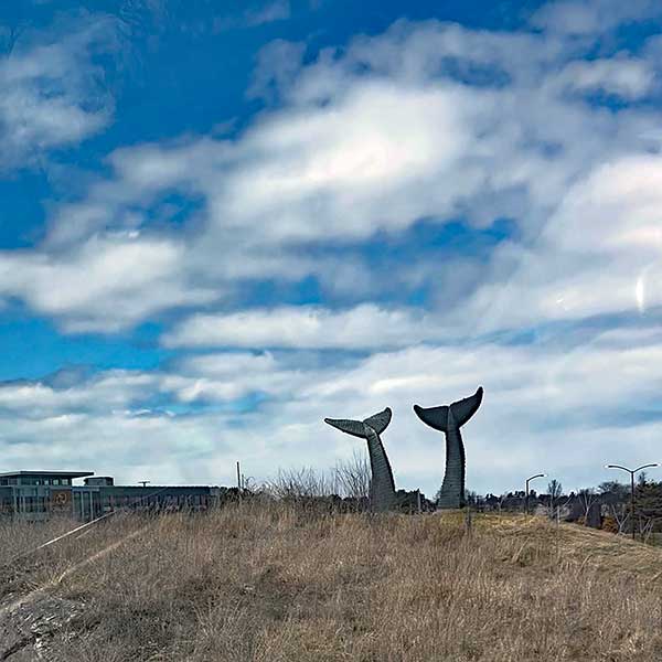 photo by mike baggetta