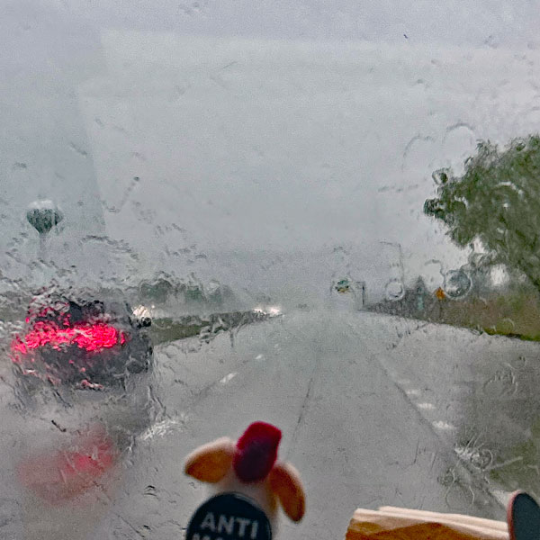 photo by mike baggetta