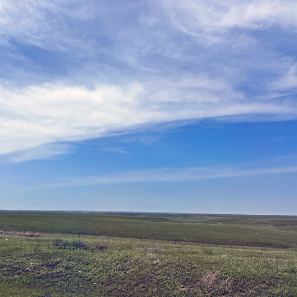 photo by mike baggetta