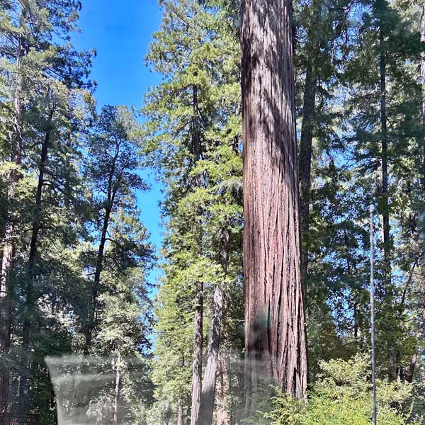 photo by mike baggetta