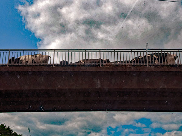 on the way to liverpool, england