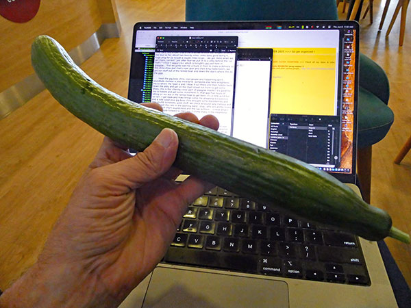 on the way to belfast from larne