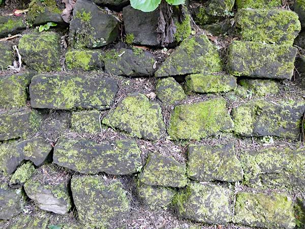 outsdie dep downie's pad in glasgow