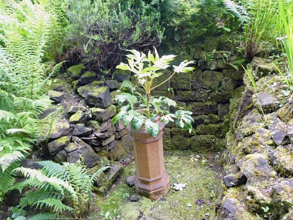 outsdie dep downie's pad in glasgow