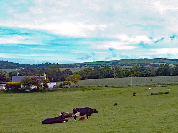 from glasgow to cairnryan