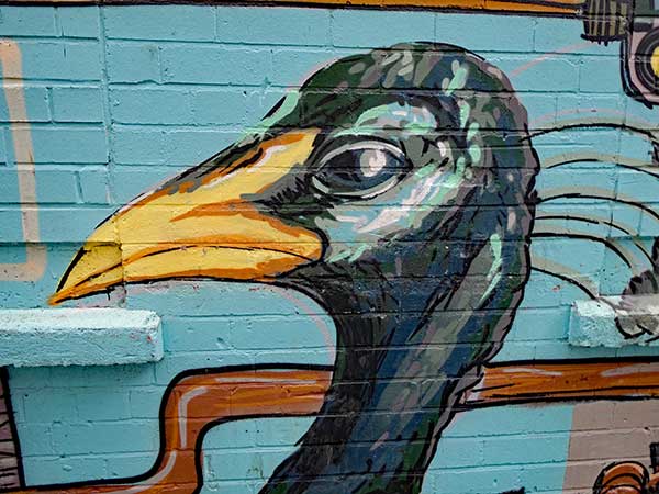 near the gig pad in belfast