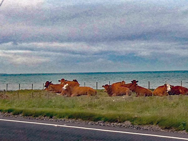 from glasgow to cairnryan