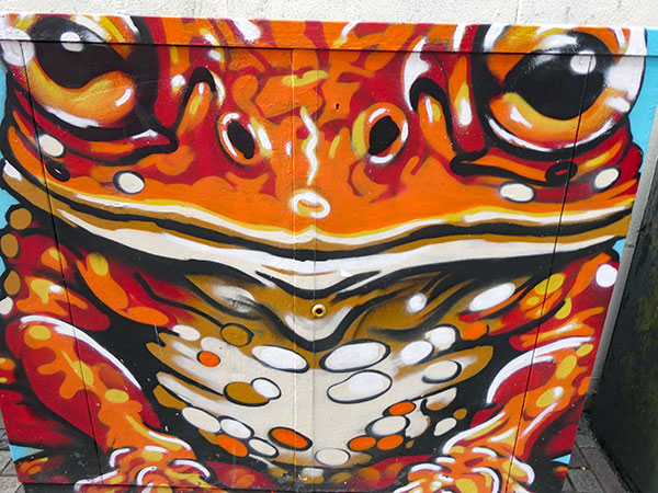 near the gig pad in belfast