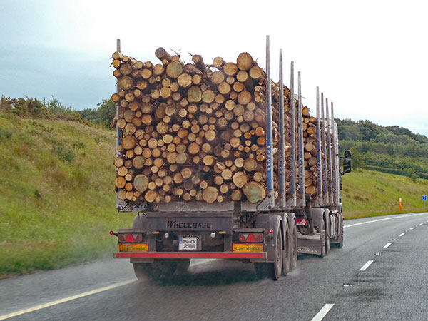 on way to waterford from belfast