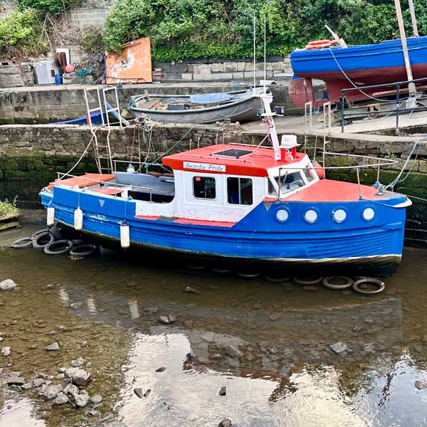 photo by mike baggetta