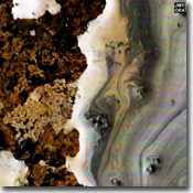 gutzeit/watt 'pay no attention to that man behind the curtain' artwork gutzeit/watt 'pay no attention to that man behind the curtain' artwork