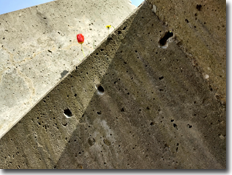 ponzi piece: re-boot #1' cover artwork ponzi piece: re-boot #1' cover artwork